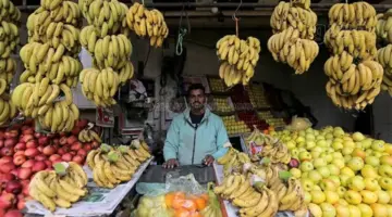 أسعار الفاكهة اليوم الجمعة 24 أبريل 2026، جنون الجوافة وانخفاض البرتقال الصيفي