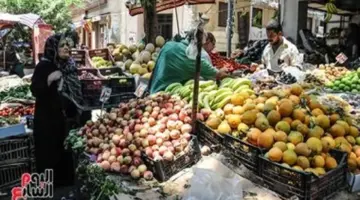 أسعار الفاكهة اليوم الخميس 16-4-2026 بأسواق مطروح.. الكنتالوب بـ15 جنيها