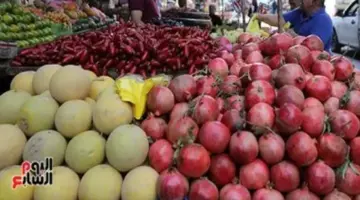 أسعار الفاكهة في أسواق ومتاجر الأقصر.. اليوم الخميس 16 أبريل 2026