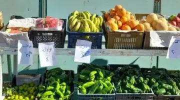 أسعار الفاكهة في محافظة الأقصر اليوم الثلاثاء 31 مارس 2026