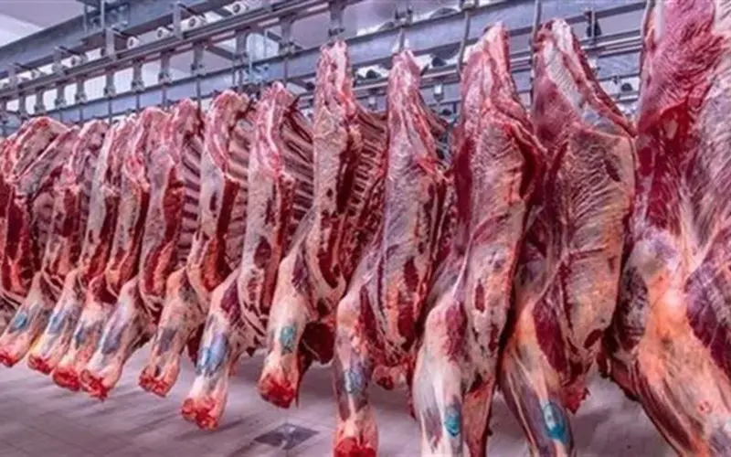 أسعار اللحوم الطازجة في الأسواق المصرية، السبت 4 أبريل 2026