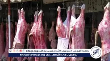 أسعار اللحوم في أسواق أسوان اليوم الأربعاء 15 أبريل 2026