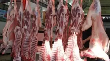 أسعار اللحوم والدواجن والبيض والأسماك بأسيوط اليوم 25 أبريل 2026