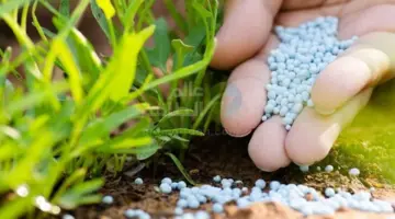 أسعار تصدير الأسمدة المصرية ترتفع 90% نتيجة الحرب على إيران