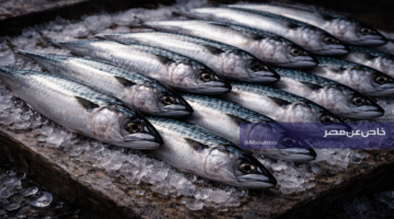 أسعار محدثة للبلطي والبوري والجمبري الثلاثاء… خبر سار لمحبي المأكولات البحرية