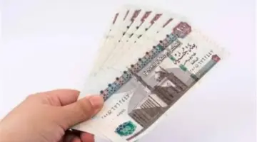 أمانك المالي بعد الفصل: شروط الحصول على تعويض البطالة لمدة 7 أشهر