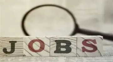 استراتيجية الدولة لتعزيز التوظيف ومكافحة البطالة.. تنوع التخصصات المطلوبة ودعم ذوي الهمم