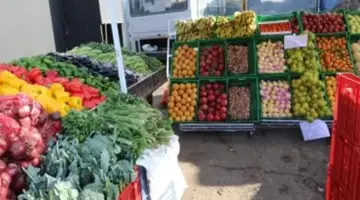 استقرار أسعار الخضروات والفاكهة بأسواق الإسماعيلية اليوم الثلاثاء