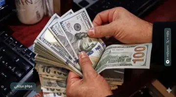 استقرار سعر الدولار أمام الجنيه بالبنوك المصرية