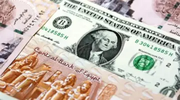 استقرار سعر الدولار مقابل الجنيه المصري