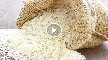 استيراد 500 ألف طن من الأرز غير متاح ويعادل استهلاك الأردن 3 سنوات