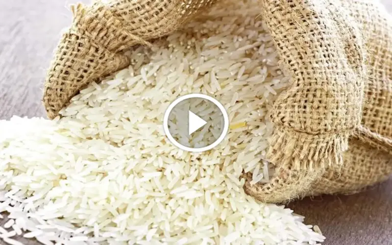 استيراد 500 ألف طن من الأرز غير متاح ويعادل استهلاك الأردن 3 سنوات