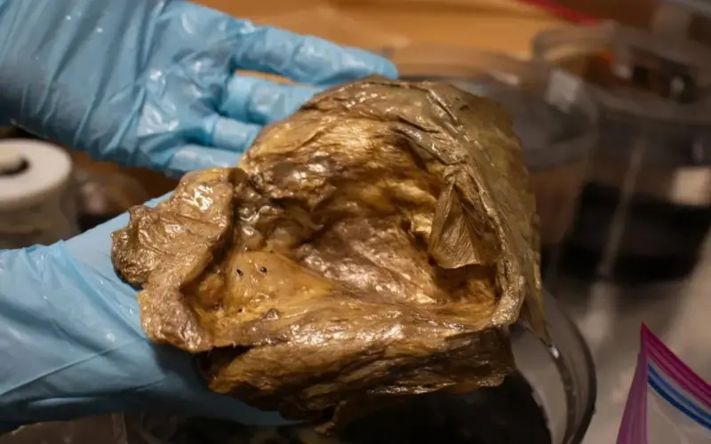 اكتشاف مذهل في قاع المحيط.. حل لغز “الكرة الذهبية”