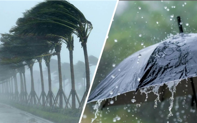 الأرصاد: 5 أيام من التقلبات الجوية.. أمطار ورياح تجتاح المحافظات حتى الجمعة