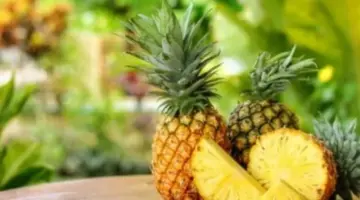 الأناناس يتخطى حاجز المائة جنيه.. تفاصيل مثيرة حول أسعار الفواكه المستوردة والمحلية اليوم
