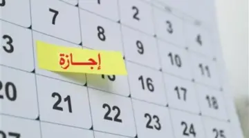 الإجازات الرسمية المتبقية في 2026 بعد عيد تحرير سيناء.. متى نحتفل بوقفة عيد الأضحى؟