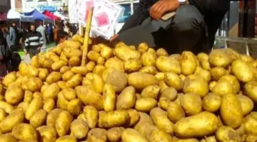 البطاطس بـ20 جنيها.. أسعار الخضراوات بأسواق بورسعيد اليوم الإثنين 6 أبريل 2026