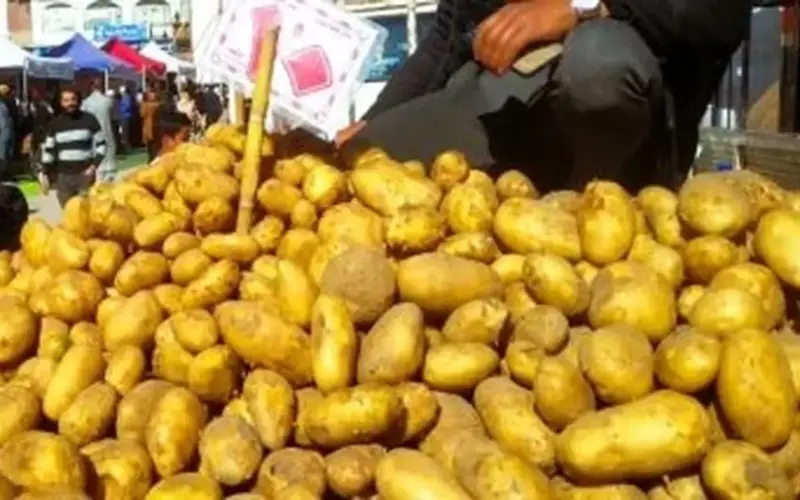 البطاطس بـ20 جنيها.. أسعار الخضراوات بأسواق بورسعيد اليوم الإثنين 6 أبريل 2026