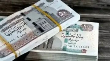 التحول الرقمي في التضامن.. رابط الاستعلام بالرقم القومي تكافل وكرامة وتحديث البيانات