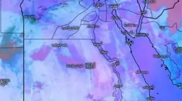 التعليم تحسم الجدل: تأجيل امتحانات الخميس لضمان تكافؤ الفرص بين طلاب المدارس بكافة المحافظات