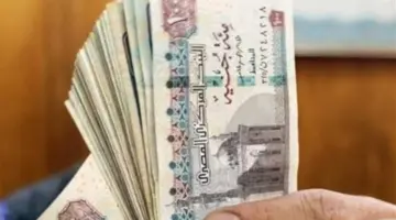 الدليل الشامل لأصحاب المعاشات لصرف شهر مايو 2026 والاستعلام عن الزيادات الجديدة