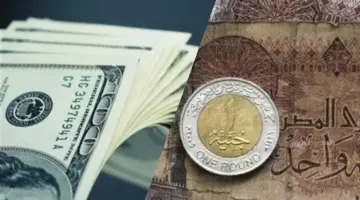 الدولار بأعلى سعر للشراء في مصرف أبوظبي الإسلامي
