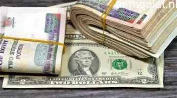 الدولار يواصل استقراره أمام الجنيه اليوم السبت 25 أبريل 2026 – مقالات نيوز