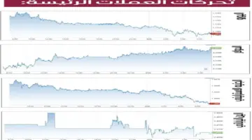 الدولار يوقف خسائر يومين