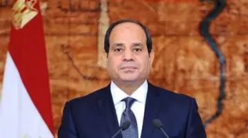 الذكاء الاصطناعي وسوق العمل.. أبرز محاور لقاء الرئيس السيسي مع رئيس جامعة هيروشيما