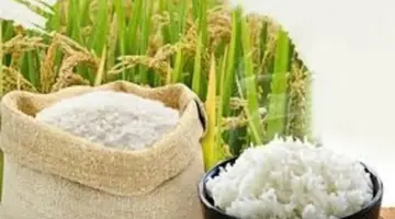 السوق يظل مستقراً، وسعر أرز OM 18 يحافظ على 5800 دونغ فيتنامي/كجم.