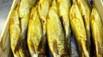 الصحة المصرية للمواطنين: توجهوا للمستشفيات فوراً حال ظهور هذه الأعراض