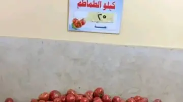 الطماطم بـ 25 جنيها.. أسعار الخضروات والفاكهة بالغربية السبت 18 أبريل 2026