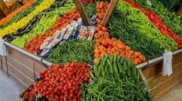 الطماطم بـ 25 جنيهاً.. أسعار الخضروات والفاكهة بكفر الشيخ الجمعة 3 إبريل 2026