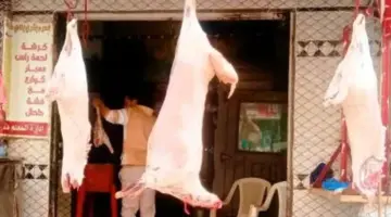 اللحمة بـ260 جنيه… أسعار اللحوم في كفر الشيخ الأحد 19 أبريل 2026