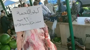 اللحوم البلدي بـ330 جنيهاً.. اعرف أسعار اللحوم والدواجن بالوادي الجديد
