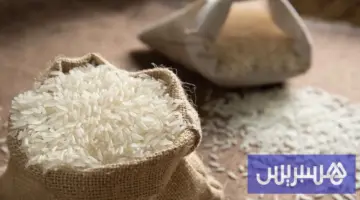 المغرب يفتح تحقيقاً احترازياً في واردات الأرز عقب طفرة في الاستيراد