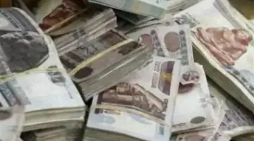 المواعيد الرسمية والجدول الزمني لإجراءات صرف معاشات شهر مايو لعام 2026