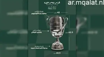 النني يتحدى ربيعة.. تحديد موعد نهائي كأس رئيس الإمارات بين الجزيرة والعين