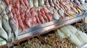 الوقار بـ 500 جنيه.. جولة في أسواق السمك بمطروح لرصد الأسعار وحركة البيع