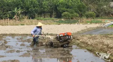 انتعاشة جديدة في آن خان