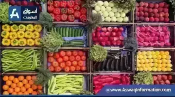 انخفاض الباذنجان.. أسعار الخضراوات اليوم الخميس بسوق العبور | أسعار السلع