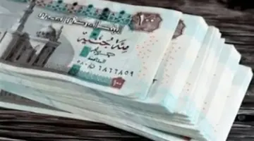 انفراجة في صرف معاشات الجدد وبدء التشغيل الفعلي لمنظومة التحول الرقمي بـ “التأمينات”