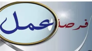 بشرى للشباب وذوي الهمم.. تفاصيل 6700 فرصة وظيفية في 69 شركة بالقطاع الخاص