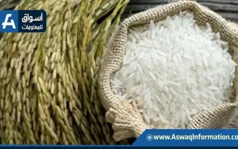 بعد التراجع| اعرف سعر الأرز اليوم الأحد لدى التاجر.. بكم طن الشعير؟ | أسعار السلع