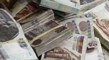 بعد طول انتظار.. صرف مستحقات فبراير ومارس 2026 تباعًا وتدشين منظومة التحول الرقمي