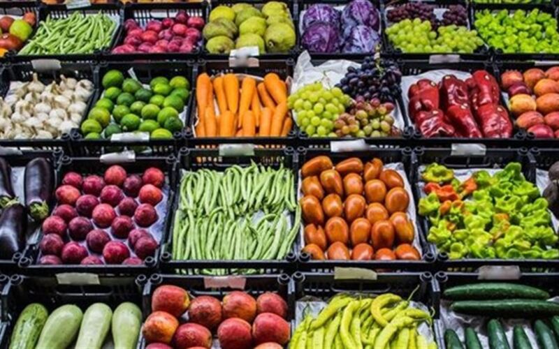 بـ20 جنيهًا.. التموين تطرح كميات من الخضروات والسلع الغذائية