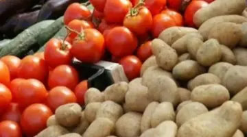 بكم الطماطم اليوم؟.. أسعار الخضار بأسواق القليوبية اليوم السبت