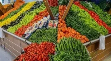 بكم الطماطم؟.. أسعار الخضروات والفاكهة بكفر الشيخ الجمعة 17 إبريل 2026