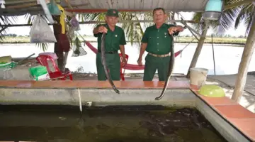 بناء سبل العيش من خلال البقاء متجذرين في الأرض.