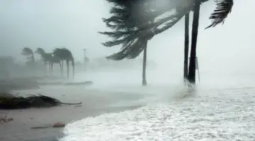 بين الشبورة والرياح.. تفاصيل حالة طقس الإسكندرية غداً